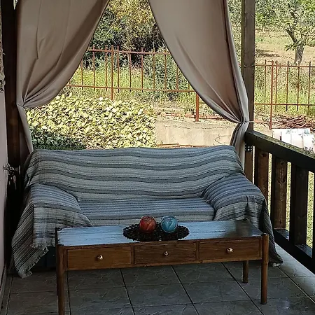 Summer Escape Nyaraló Metamórfoszi